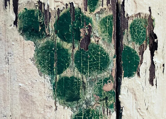 Дом отдыха Pfalz-dorfhaus Бурвайлер